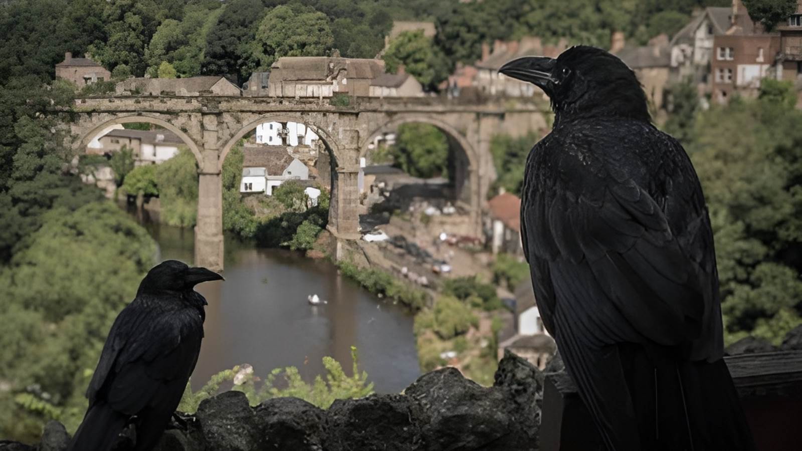 Hugin & Munin: Unraveling the Secrets of Odin's Wise Ravens