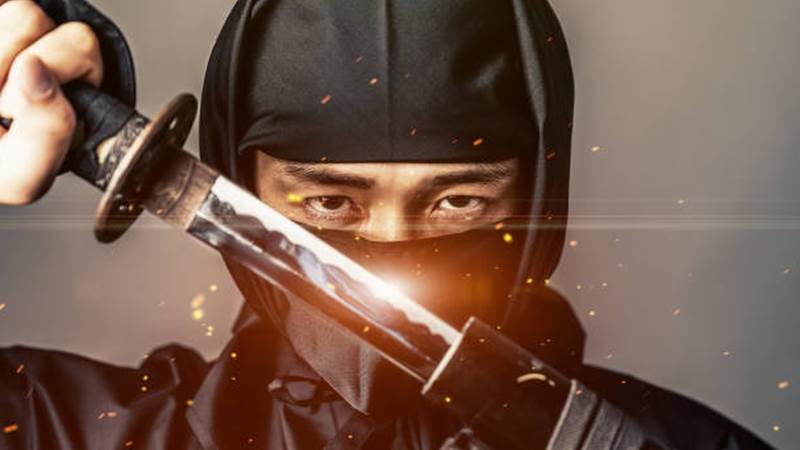 The Shadow Warriors: True S...