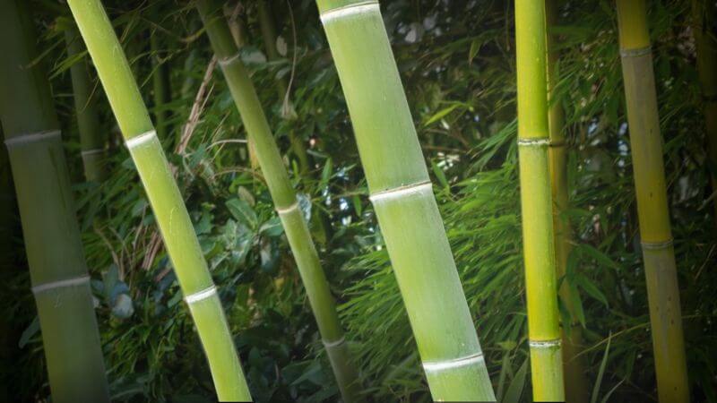 Choosing the Right Cutting Target