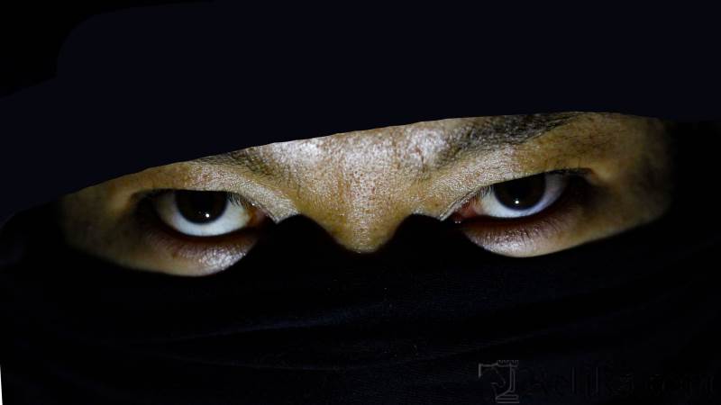 Ninja