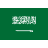 Saudi Arabian Riyal (ر.س.SAR)