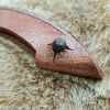 leather cover fastener