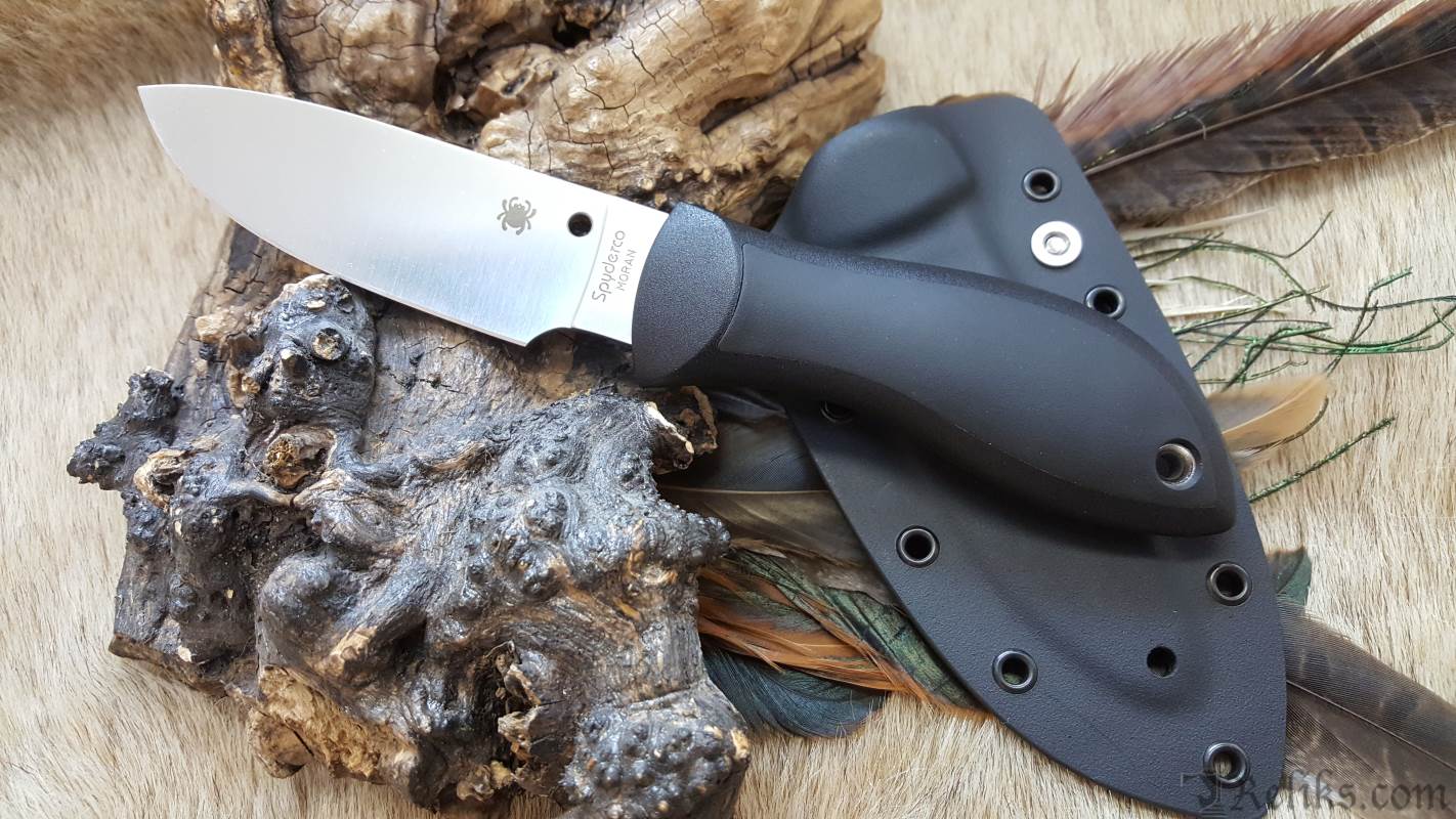 Spyderco Moran Knife