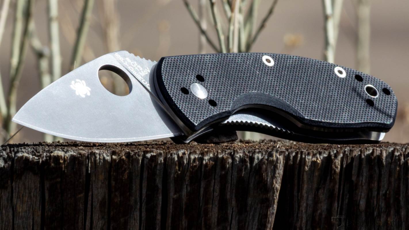 spyderco ambitious knife