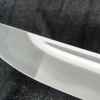 ocean wakizashi blade