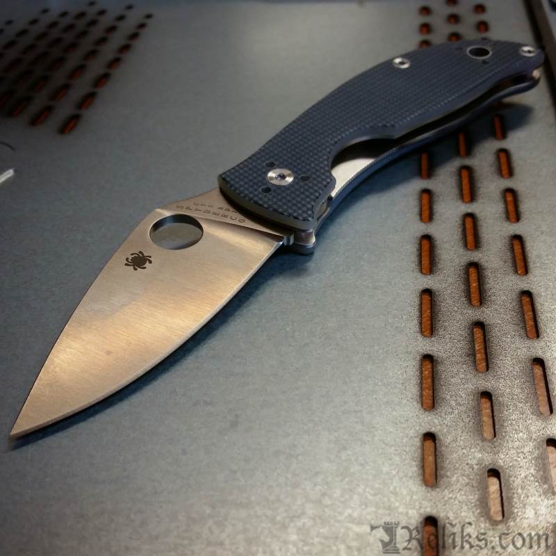The Alcyone by Spyderco Knives