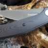 Kershaw Concierge Flipper