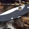 Native Chief G10 Scales