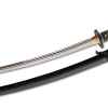 hanwei raptor katana