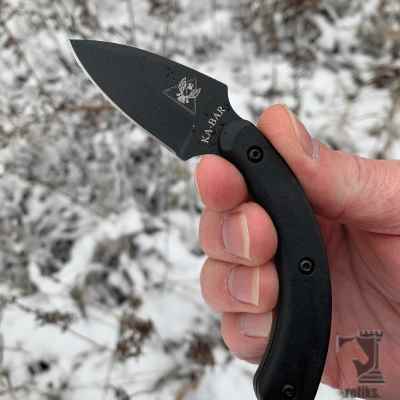 TDI Ladyfinger