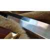gladius blade