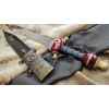 the roman eagle gladius