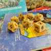 wooden dnd dice set